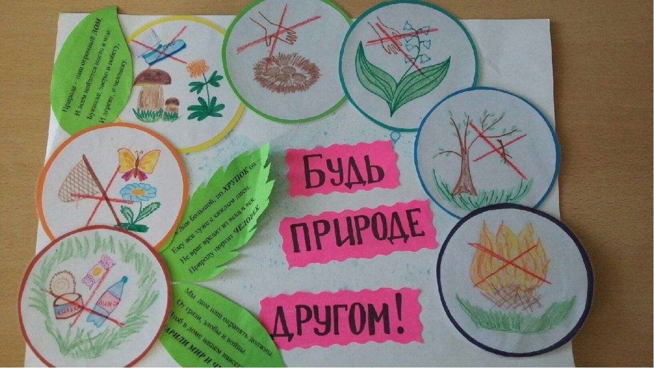 Дети Архангельска примут участие в большом экомарафоне